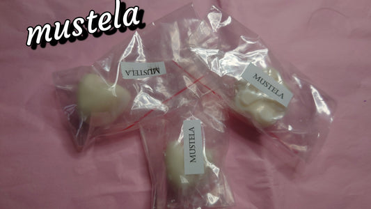 Fondants Musty (Mustela)